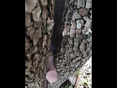 Sex with tree pussy pt.2