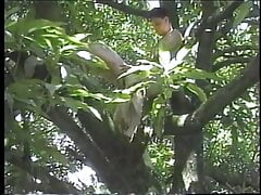 Horny guy taking dick in his ass and gives BJ in a tree and gets creamed