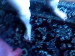 chubby polish fag suck dildo while masturbate on webcam